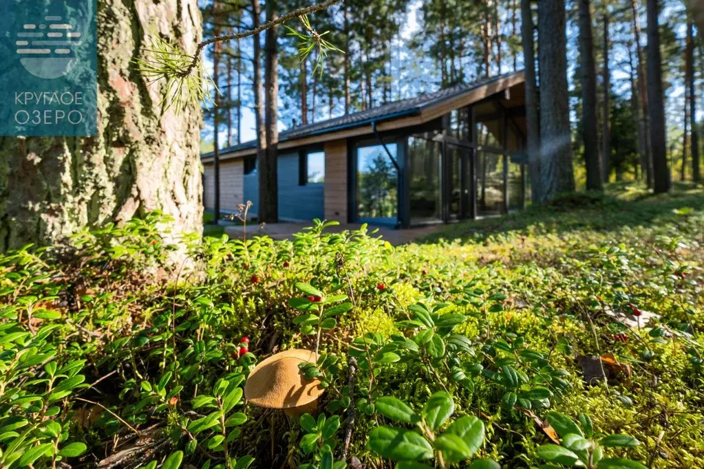 Коттедж в Ленинградская область, Всеволожский район, Куйвозовское ... - Фото 2