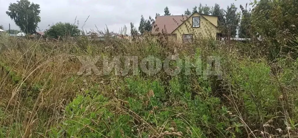 Участок в Новосибирская область, Мошковский район, с. Барлак ул. ... - Фото 2