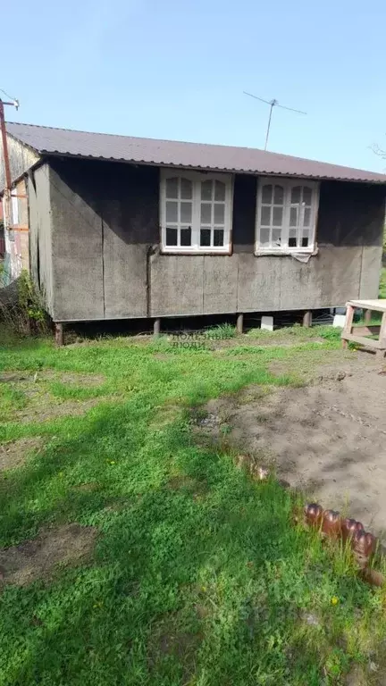 Дом в Саратовская область, Нефтяник СНТ  (25 м) - Фото 0
