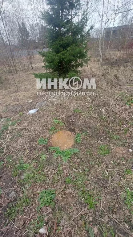 Участок в Одинцовский городской округ, КП Западная Усадьба, 68 (15 м) - Фото 2