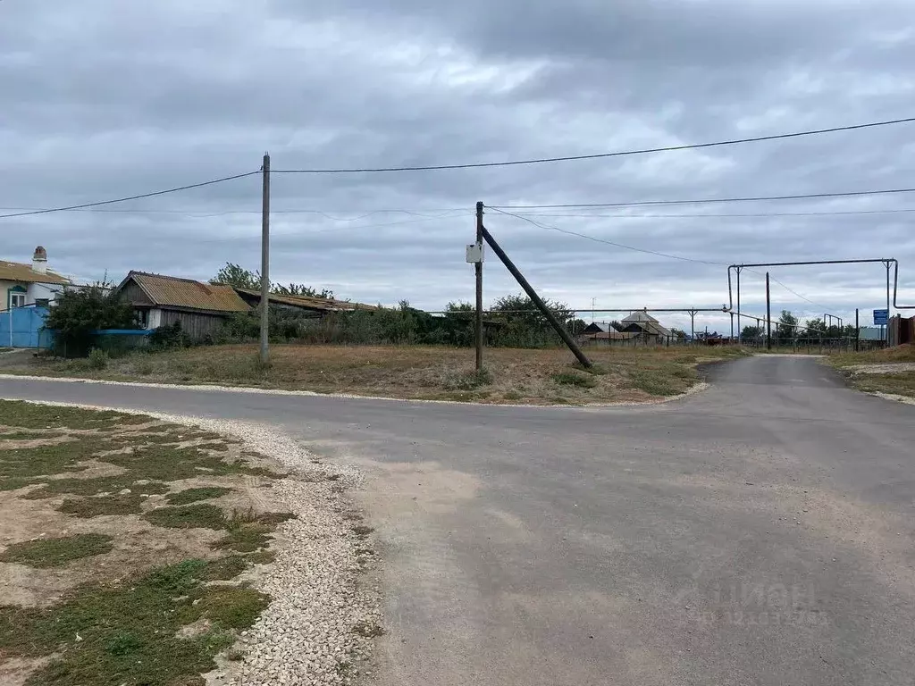 Участок в Саратовская область, Энгельсский район, Терновское ... - Фото 2