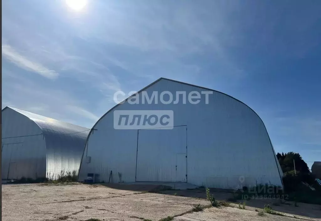 Склад в Московская область, Пушкинский городской округ, д. Цернское  ... - Фото 2