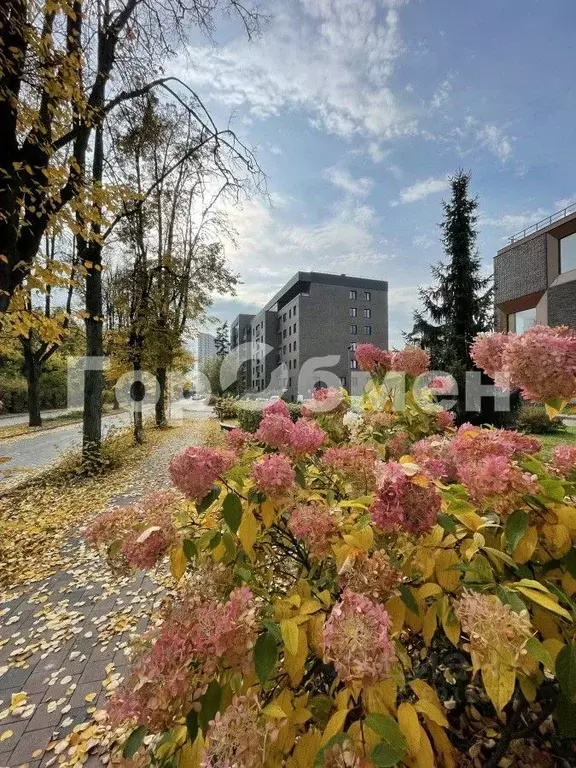 2-к кв. Московская область, Красногорск ул. Согласия, 19 (57.0 м) - Фото 1