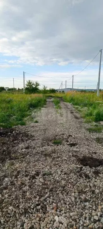 Участок в Алтай, Майминский район, с. Подгорное ул. Магистральная (6.0 ... - Фото 1