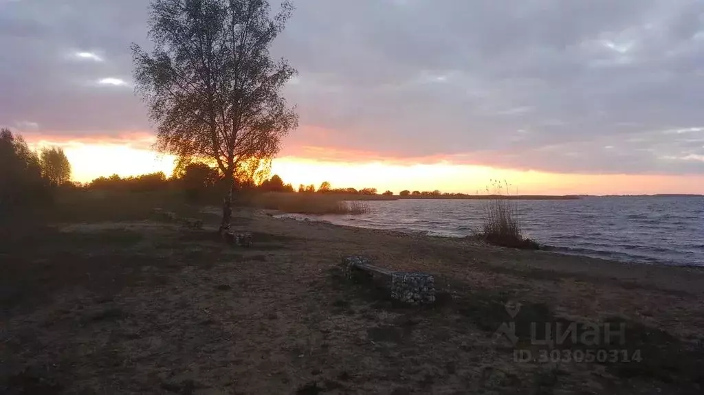 Дом в Псковская область, Печорский муниципальный округ, д. Малая ... - Фото 1