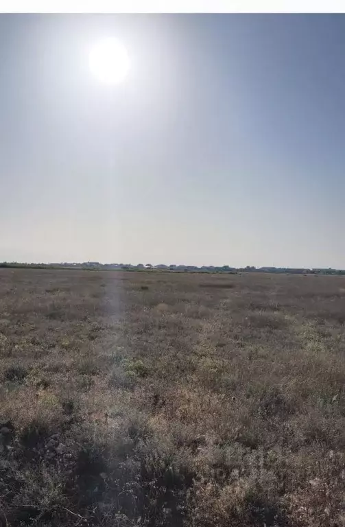 Участок в Крым, Сакский район, Молочненское с/пос, с. Витино  (200.0 ... - Фото 2