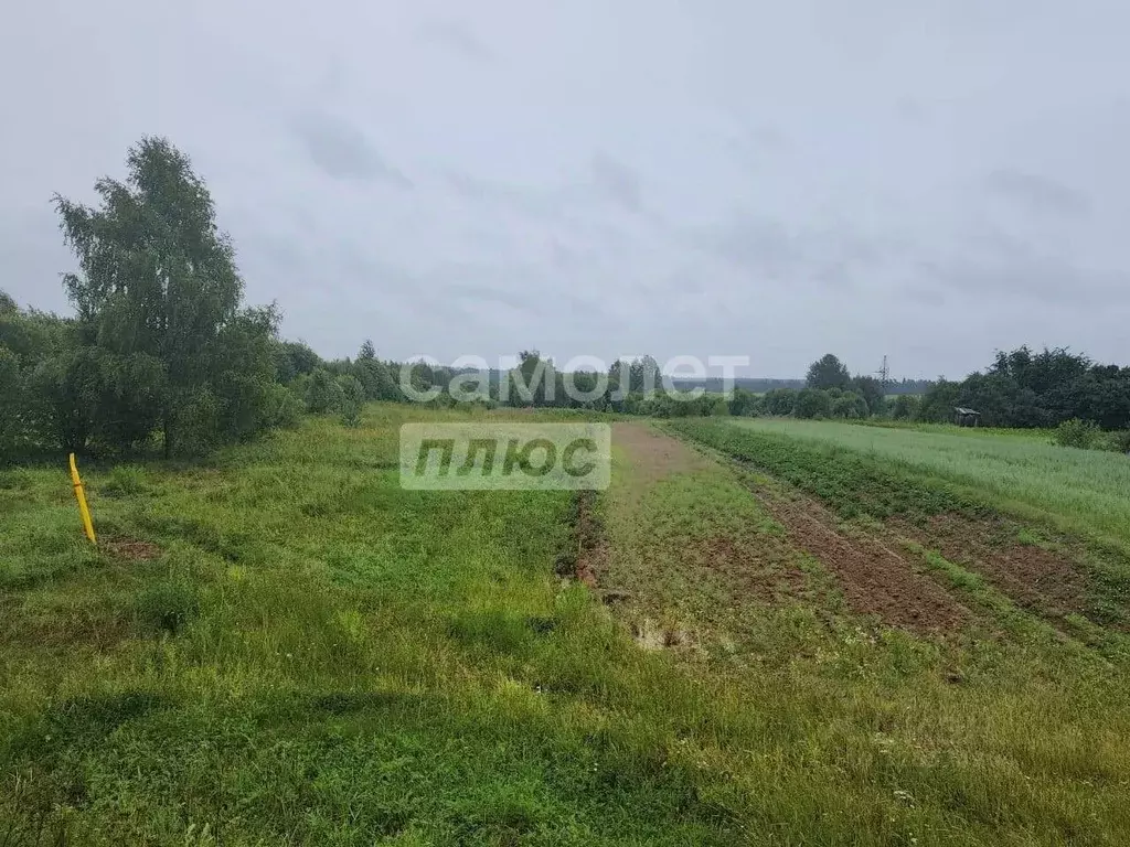 Участок в Владимирская область, Александровский муниципальный округ, ... - Фото 1