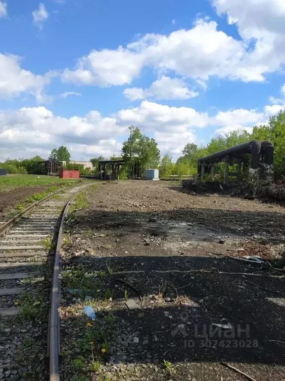 Участок в Новосибирская область, Новосибирск  (30.0 сот.) - Фото 0