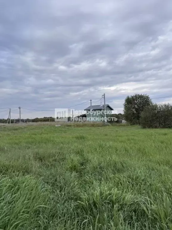 Участок в Ленинградская область, Кировский район, Суховское с/пос, ... - Фото 2