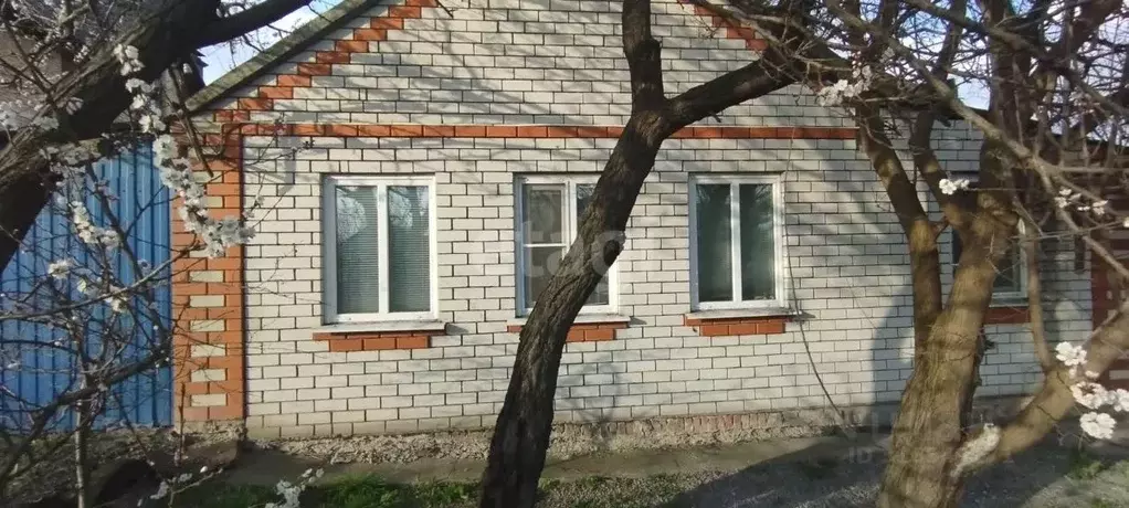 Дом в Белгородская область, Алексеевка ул. Максима Горького (56 м) - Фото 0