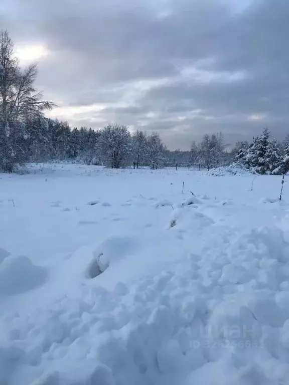 Участок в Московская область, Орехово-Зуевский городской округ, д. ... - Фото 1