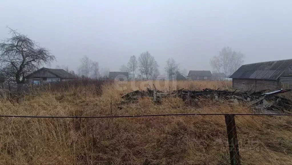 Участок в Смоленская область, Руднянский муниципальный округ, д. ... - Фото 1