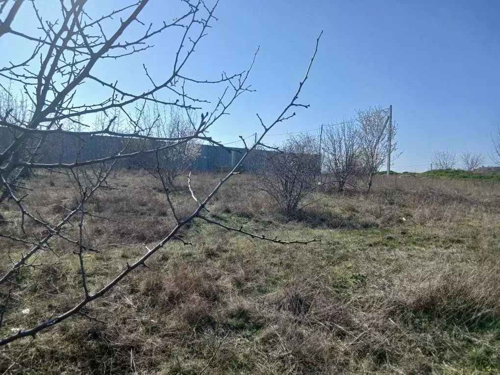 Участок в Севастополь ул. 1-я Линия (10.0 сот.) - Фото 2