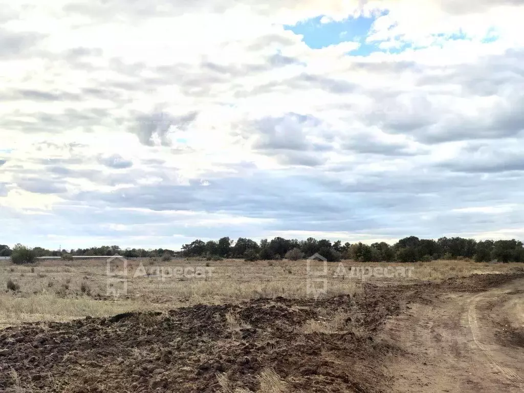 Участок в Волгоградская область, Среднеахтубинский район, Фрунзенское ... - Фото 1