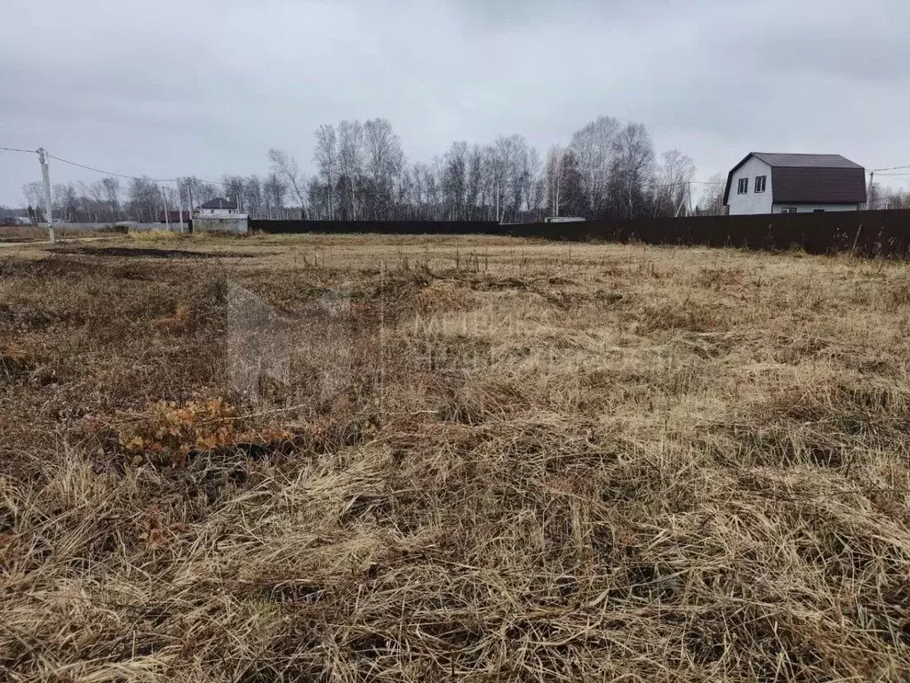 Участок в Тюменская область, Тюмень Зеленый Бор ДНТСН,  (8.6 сот.) - Фото 1