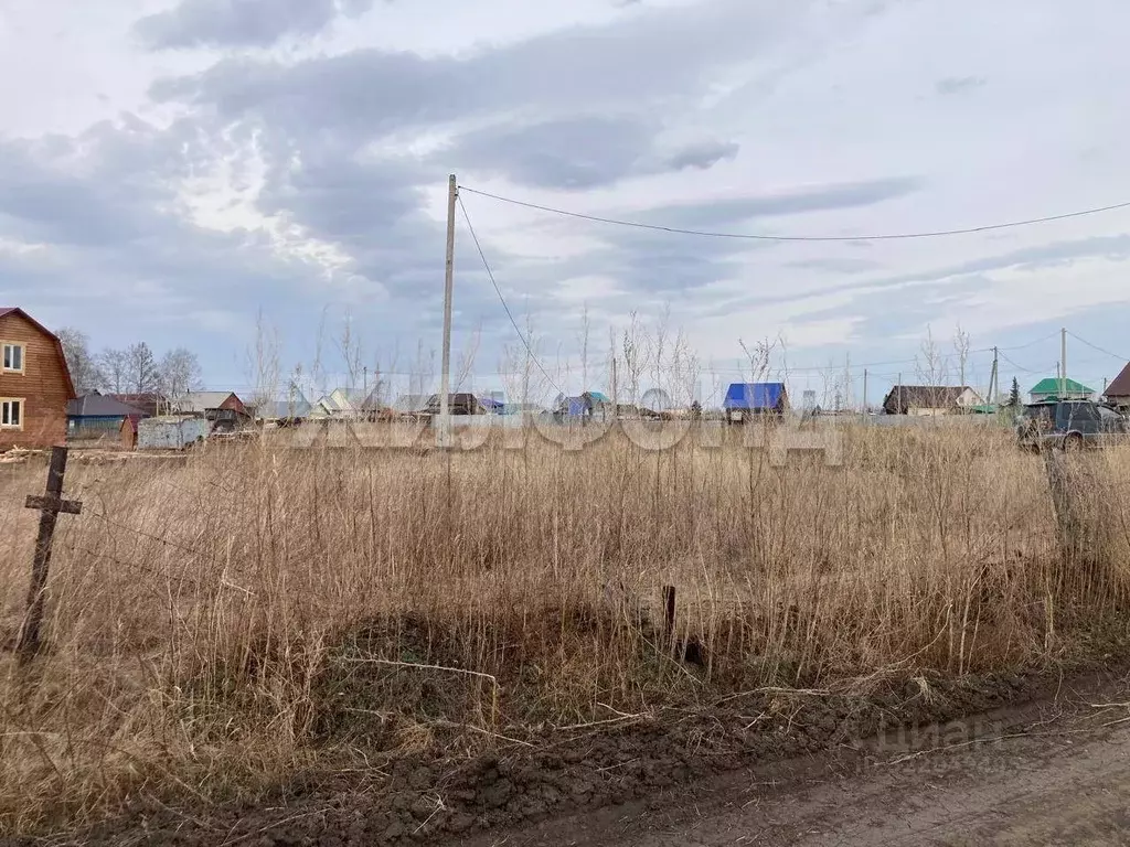 Участок в Новосибирская область, Коченевский район, Чик рп ул. ... - Фото 2