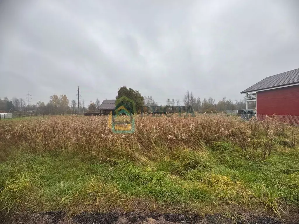 Участок в Ленинградская область, Выборгский район, Рощинское городское ... - Фото 1