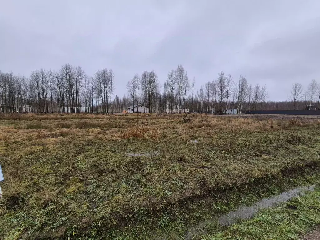 Участок в Санкт-Петербург, Санкт-Петербург, Павловск Павлов Скай кп,  ... - Фото 2