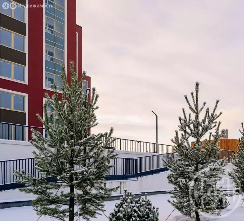 Квартира-студия: Санкт-Петербург, Пискарёвский проспект, 142к4 (23.17 ... - Фото 2