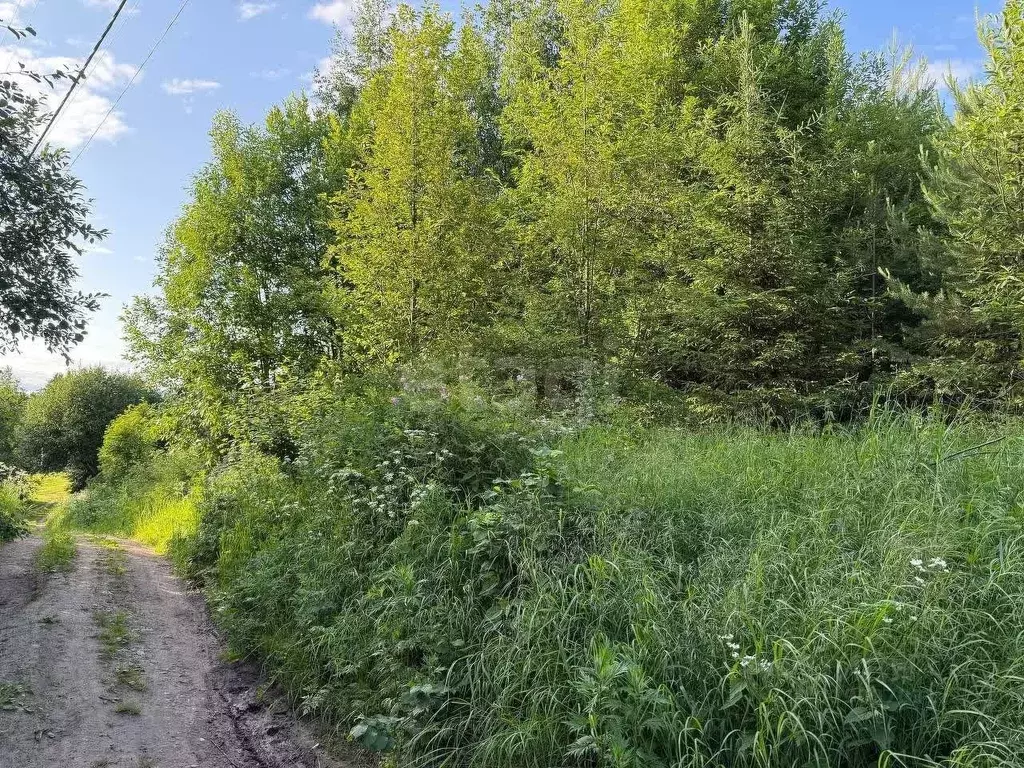 Участок в Вологодская область, Великоустюгский муниципальный округ, ... - Фото 1