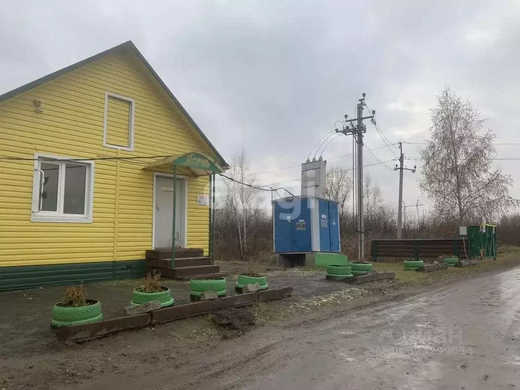 Участок в Тюменская область, Тюмень Ясень садовое товарищество, ул. ... - Фото 1