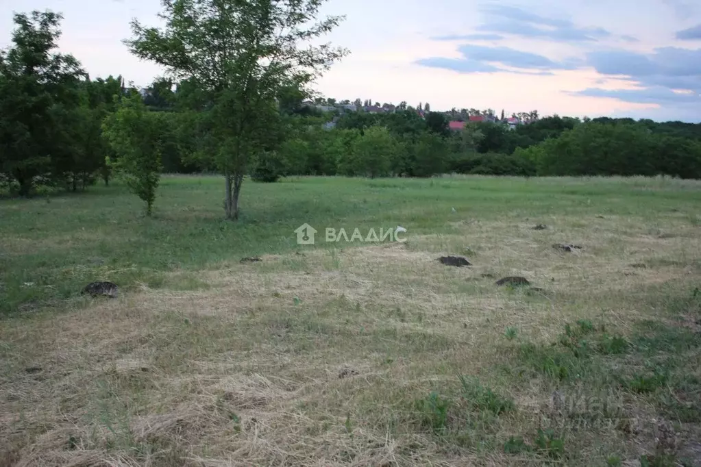 Участок в Белгородская область, Белгородский район, с. Стрелецкое, ... - Фото 0