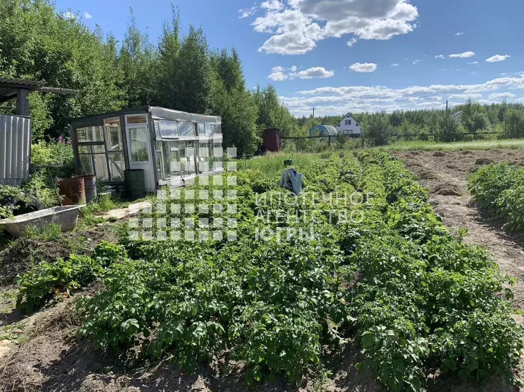 Дом в Ханты-Мансийский АО, Ханты-Мансийск Коммунальник СОТ,  (20 м) - Фото 0
