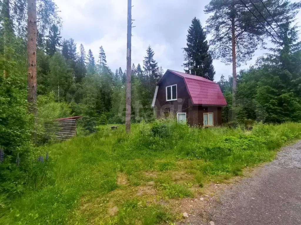Дача 36 м на участке 6 сот. - Фото 1
