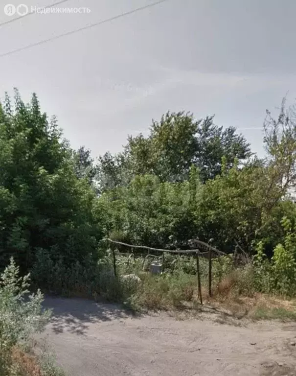 Участок в Новосибирск, садоводческое некоммерческое товарищество ... - Фото 1