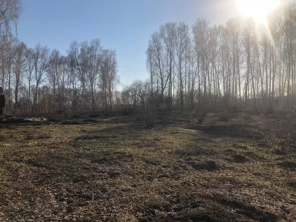 Участок в Новосибирская область, Кольцово рп  (6.0 сот.) - Фото 1