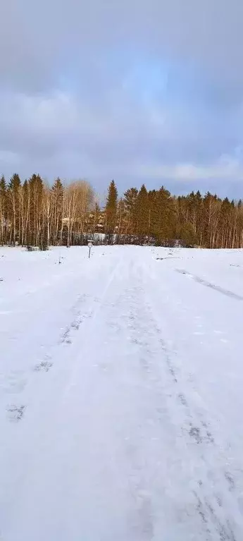 Участок в Пермский край, Добрянский городской округ, д. Залесная  (9.1 ... - Фото 1