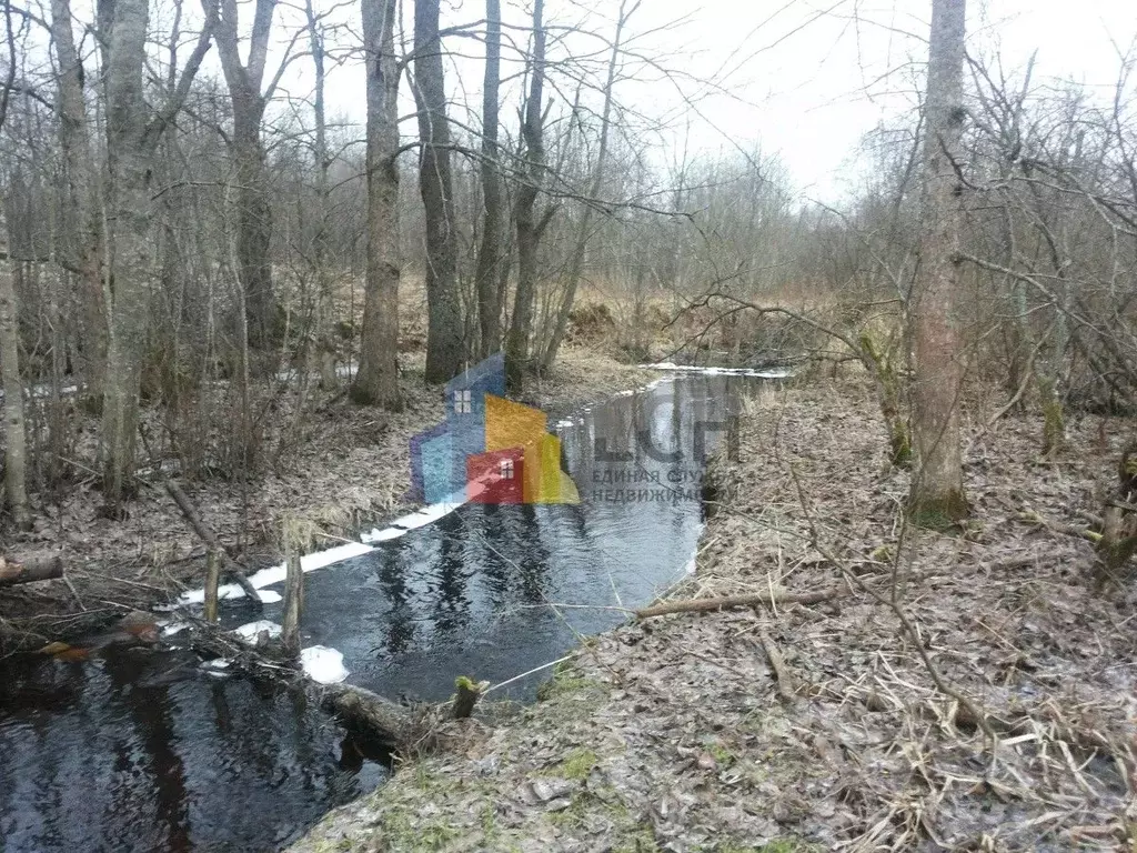 Участок в Тульская область, Тула городской округ, пос. Георгиево, ... - Фото 1