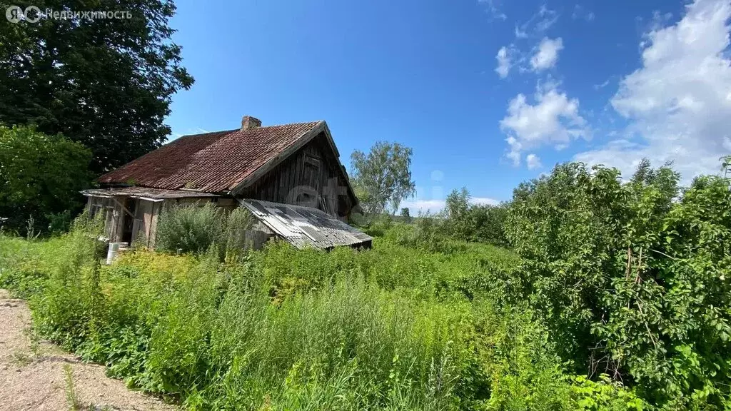 Участок в Калининградская область, Полесский муниципальный округ, ... - Фото 0