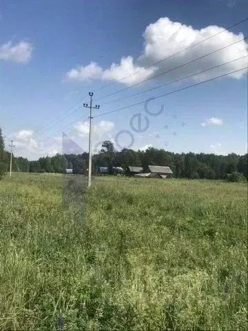 Участок в Нижегородская область, Лысковский район, Богородское с/пос ... - Фото 1