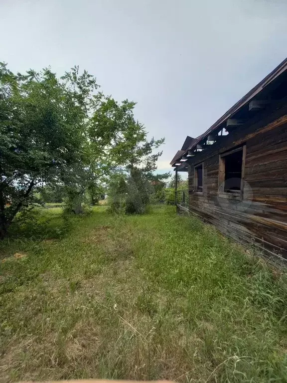 Участок 9 сот. (СНТ, ДНП) - Фото 0