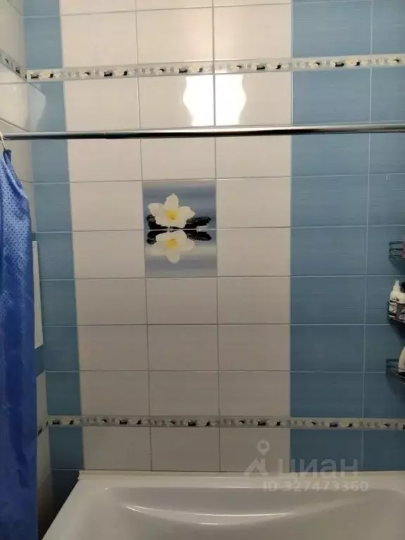 2-к кв. Санкт-Петербург, Санкт-Петербург, Петергоф ул. Парковая, ... - Фото 2