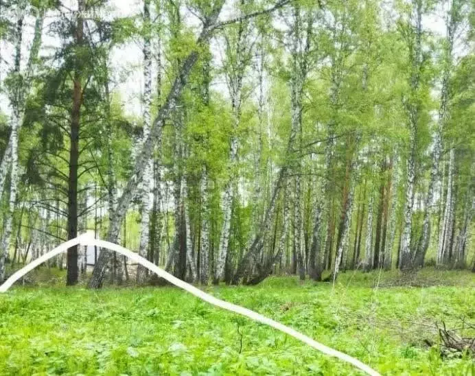 Участок в посёлок Синий Утёс, микрорайон Крутоярский (15 м) - Фото 1