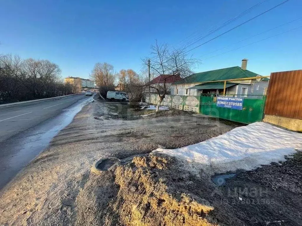 Участок в Воронежская область, Рамонский район, с. Новоживотинное  ... - Фото 1