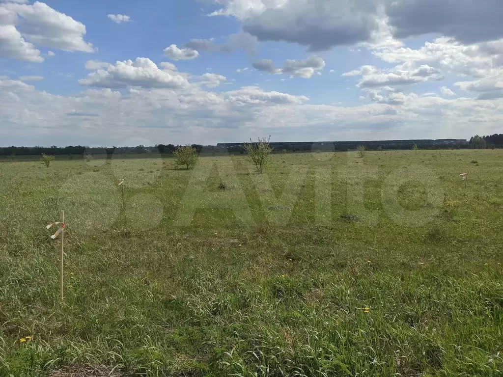 Участок 8,4 сот. (ИЖС) - Фото 1