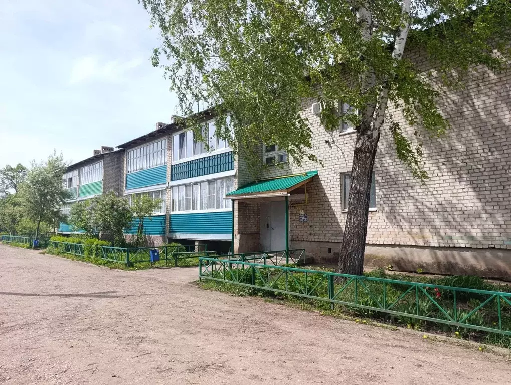 2-к кв. Башкортостан, Чишминский поссовет, Чишмы рп ул. Новая, 6 (49.0 ... - Фото 1