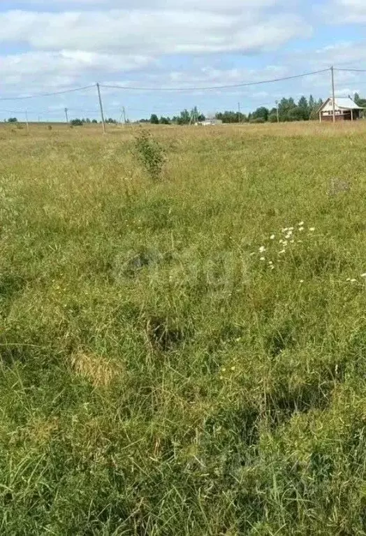 Участок в Вологодская область, д. Ирхино  (15.0 сот.) - Фото 0