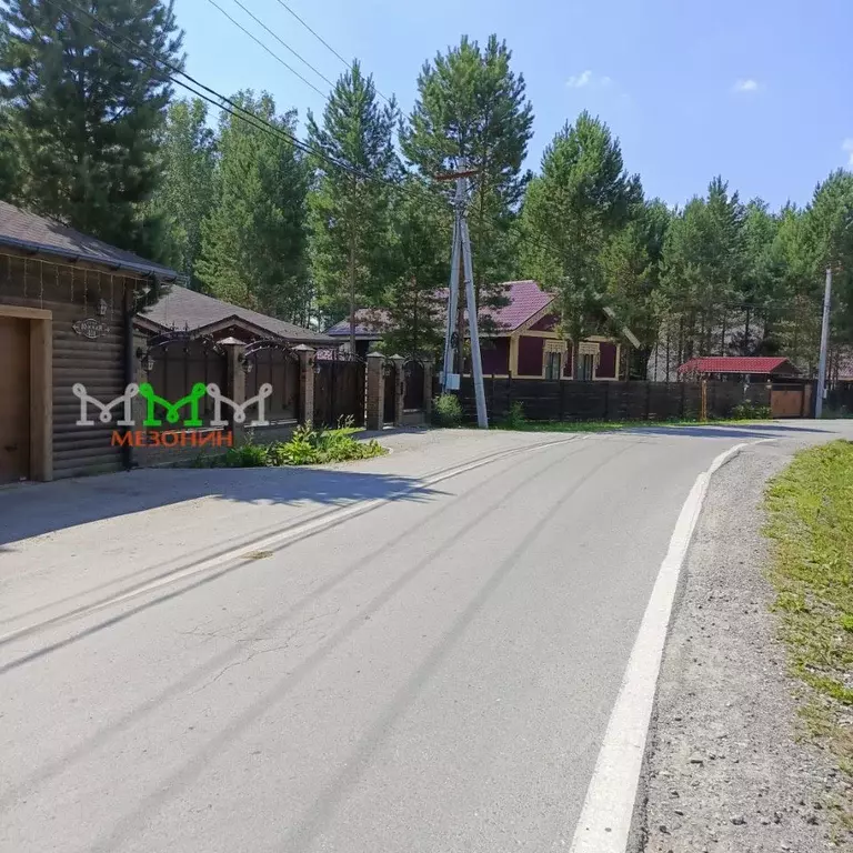 Участок в Новосибирская область, Новосибирский район, Кубовинский ... - Фото 1