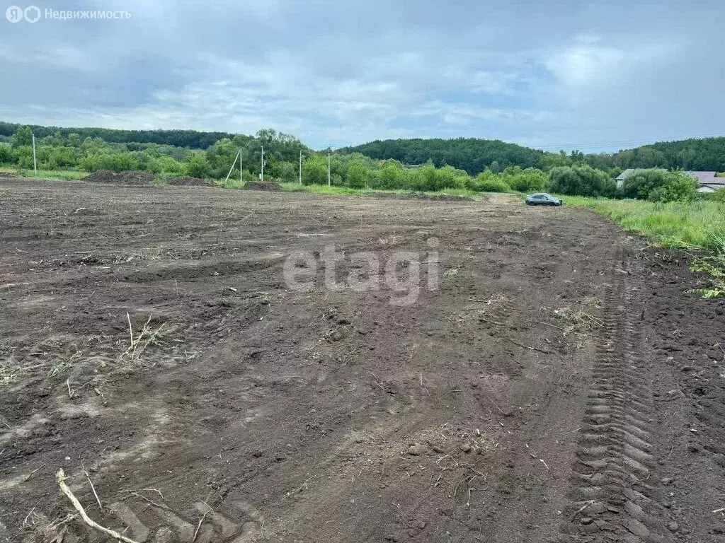 Участок в Рузаевский район, посёлок Левженский (10 м) - Фото 1