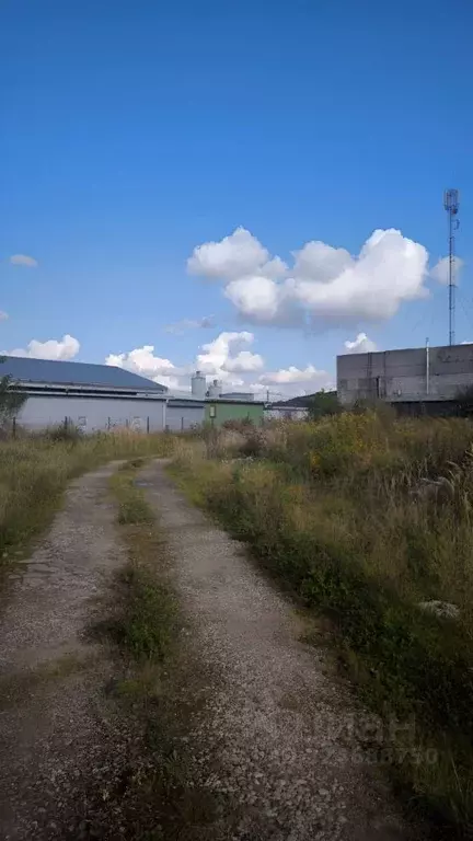 Участок в Калининградская область, Гурьевский муниципальный округ, ... - Фото 1