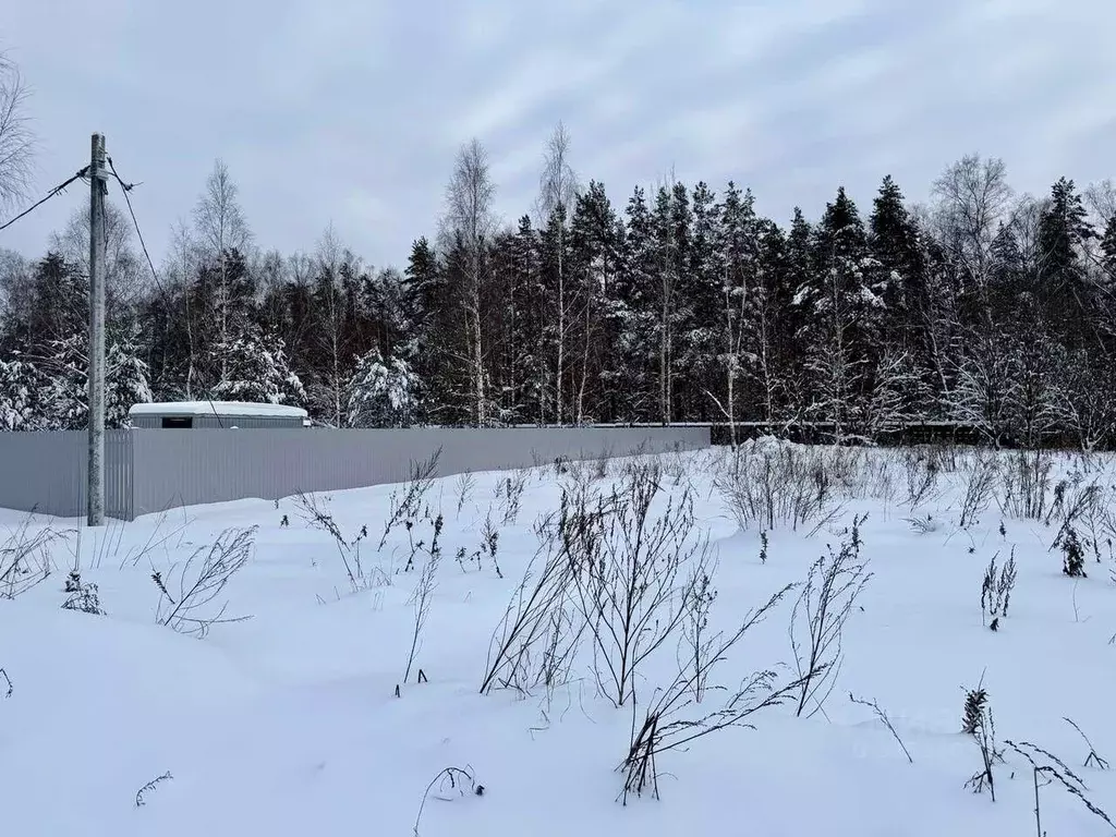 Участок в Московская область, Балашиха  (20.0 сот.) - Фото 1