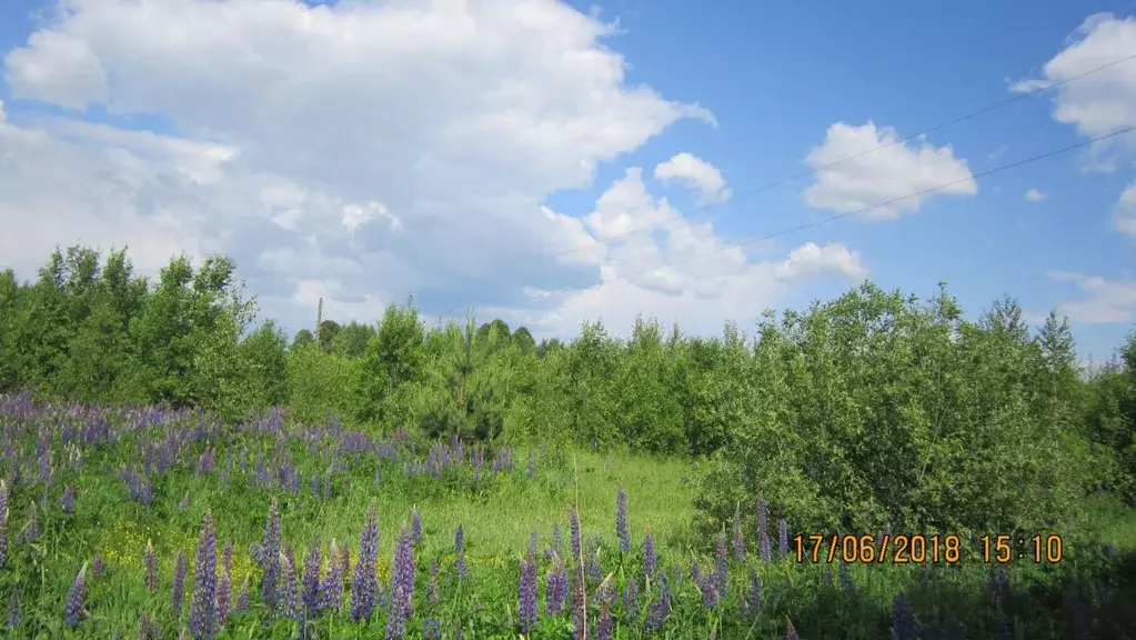 Участок в Нижегородская область, Богородский муниципальный округ, д. ... - Фото 1