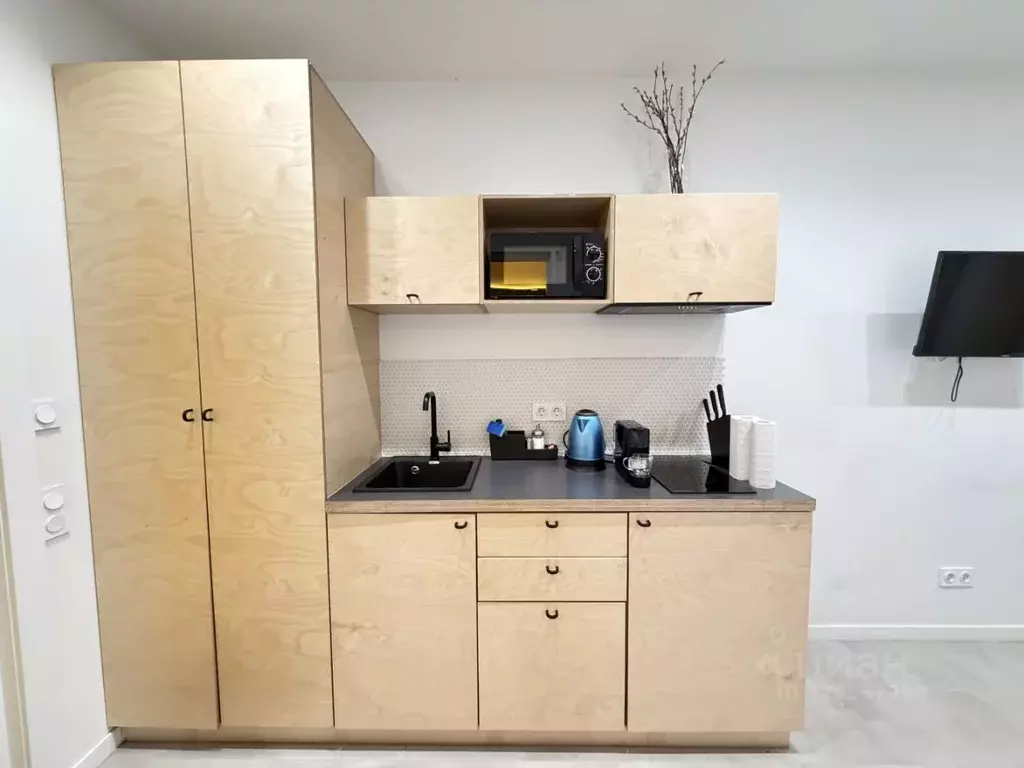 Студия Санкт-Петербург ул. Рубинштейна, 38 (26.19 м) - Фото 1