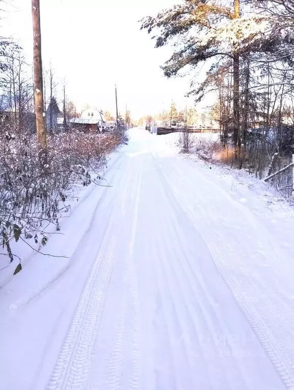 Участок в Архангельская область, Архангельск Ваганиха садовое ... - Фото 0