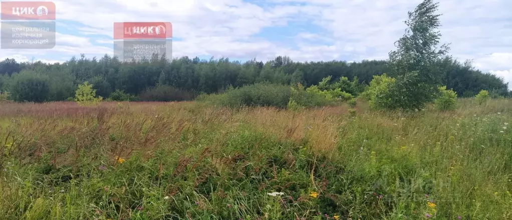 Участок в Рязанская область, Рыбновский район, Истобниковское с/пос, ... - Фото 1