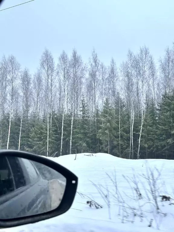 Участок в Московская область, Солнечногорск городской округ, д. ... - Фото 1